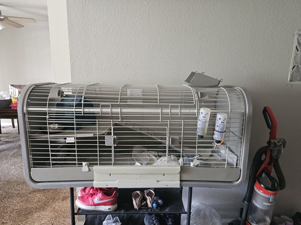 Guinea Pig Cage and Accessories