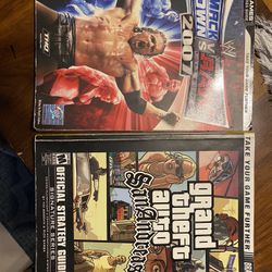 Guide Books:     Ps2/xbox360 Strategy Guide