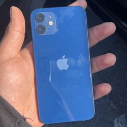 iPhone 12 