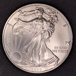 2020 American Silver Eagle coin. 