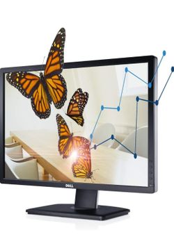 New DELL 24 inch Monitor