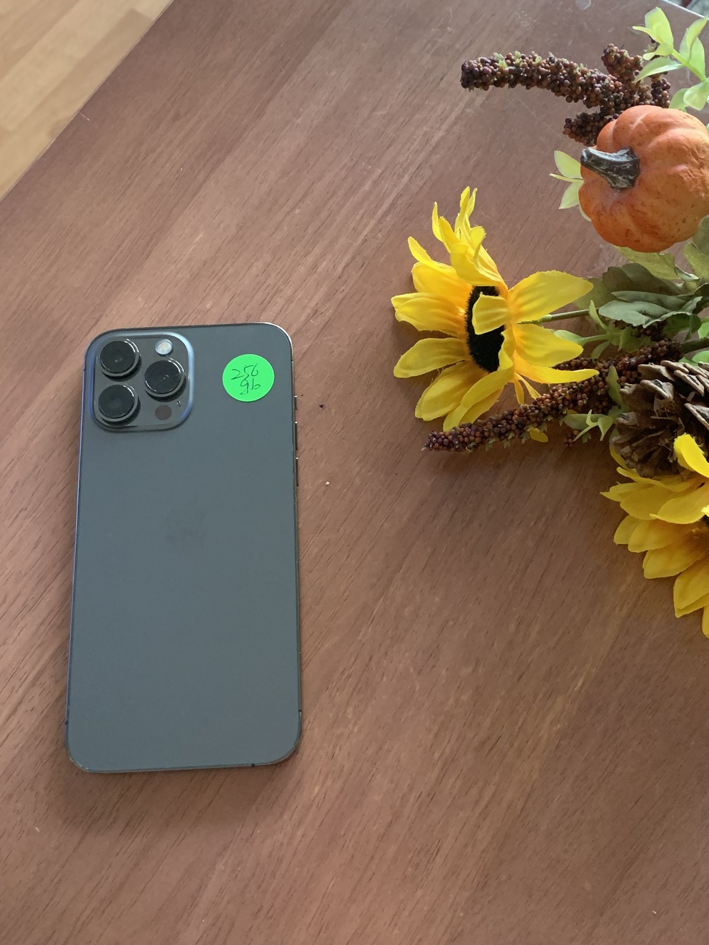 iPhone 13 Pro Max (256gb) Unlocked Gray Color