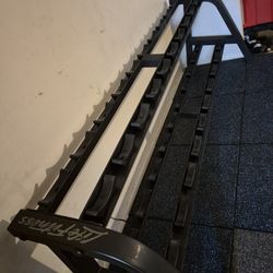 Life Fitness Dumbbells Rack. 