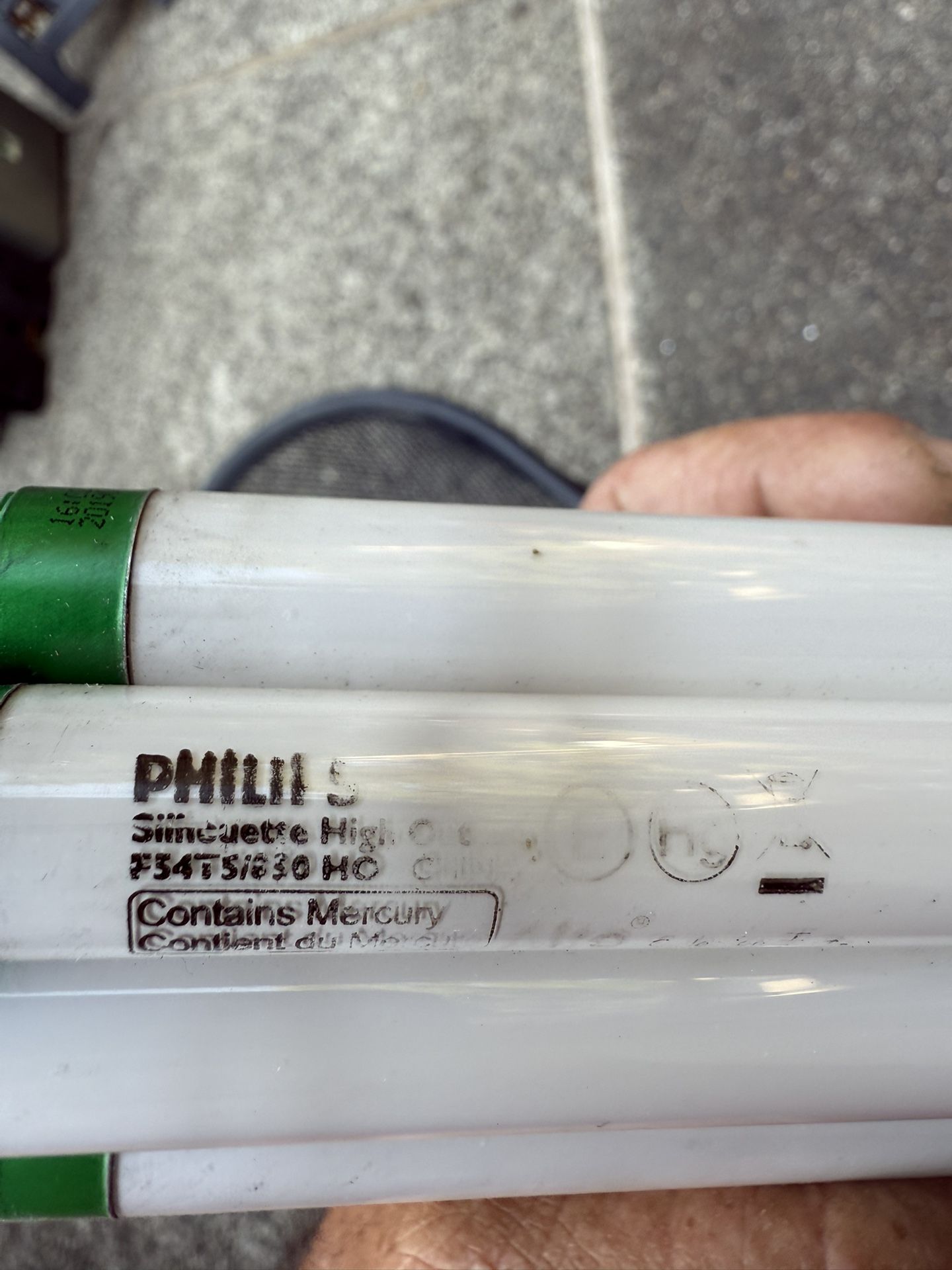 T5 Bulbs