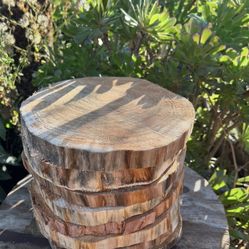 Wood Slices (Center Pieces)Discounted  Pine Wood Pieces Due To Nature Of Missing Bark