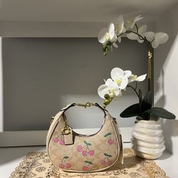 Coach Bag For Sale 