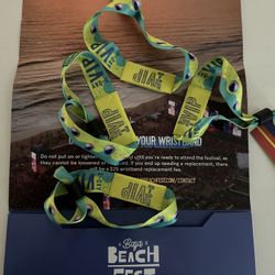Baja Beach Festival VIP tickets sell through official lyte website