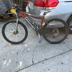 Used raleigh mountain bikes for sale 2025