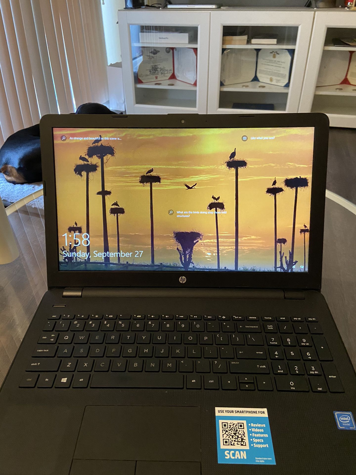 HP Laptop 15.6” Screen