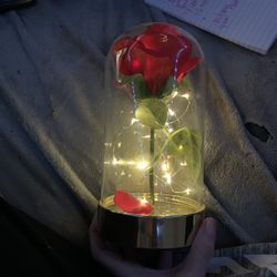 Beauty And The Beast Enchanted Rose