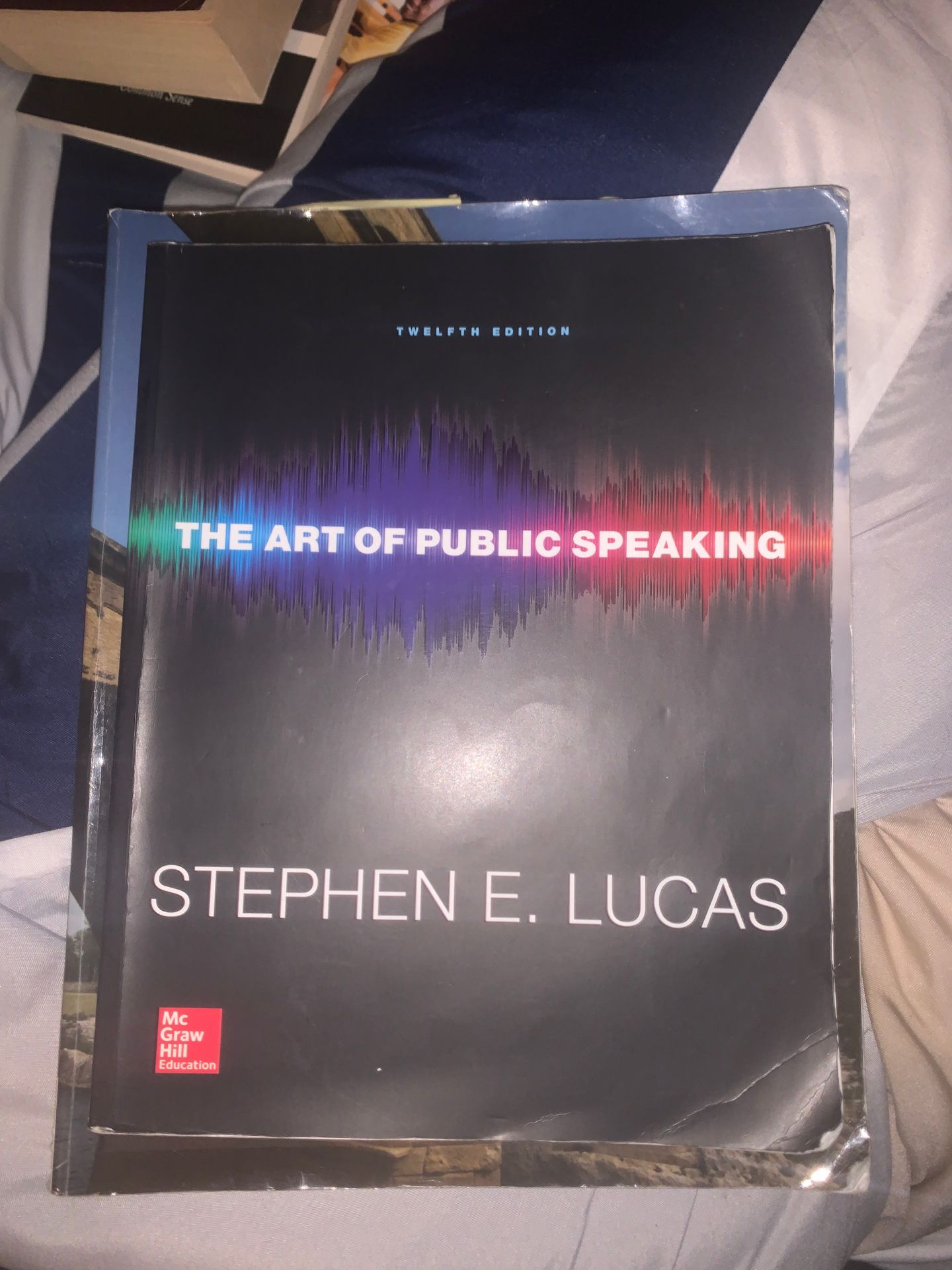 The art of public speaking by Stephen E. Lucas