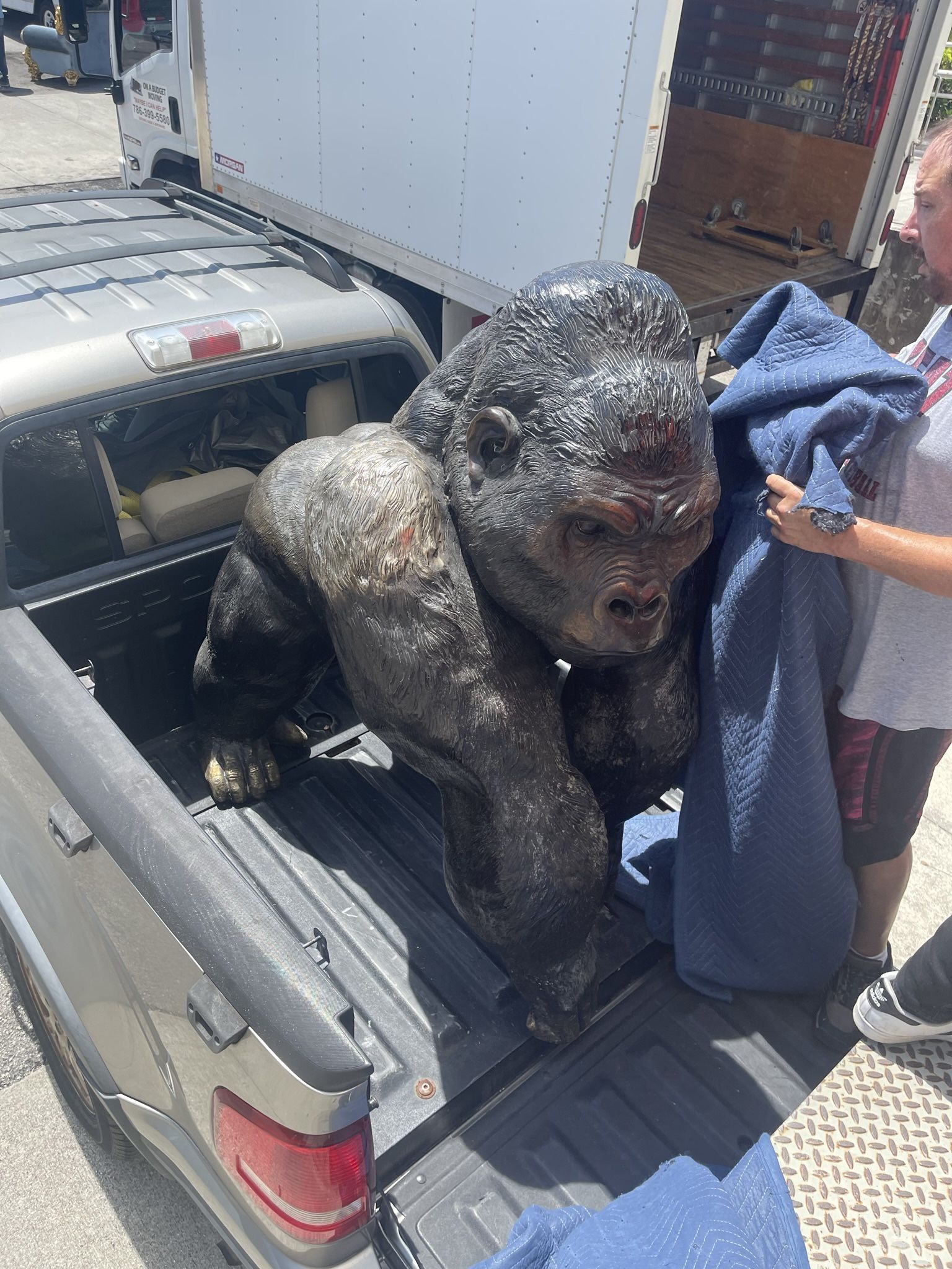BRONZE SILVERBACK GORILLA
