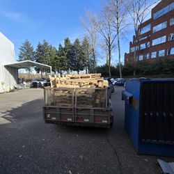 Pallets Free Possible Delivery 