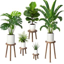 5-Pack Wood Plant Stands Indoor, Single Plant Stand for 6-22 Inch Pots, Mid-Century Modern Plant Stool, Tall Plant Stand for Large Plants Perfect Fit 