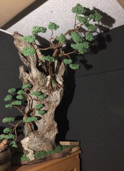 Bonsai Art From TreeMon
