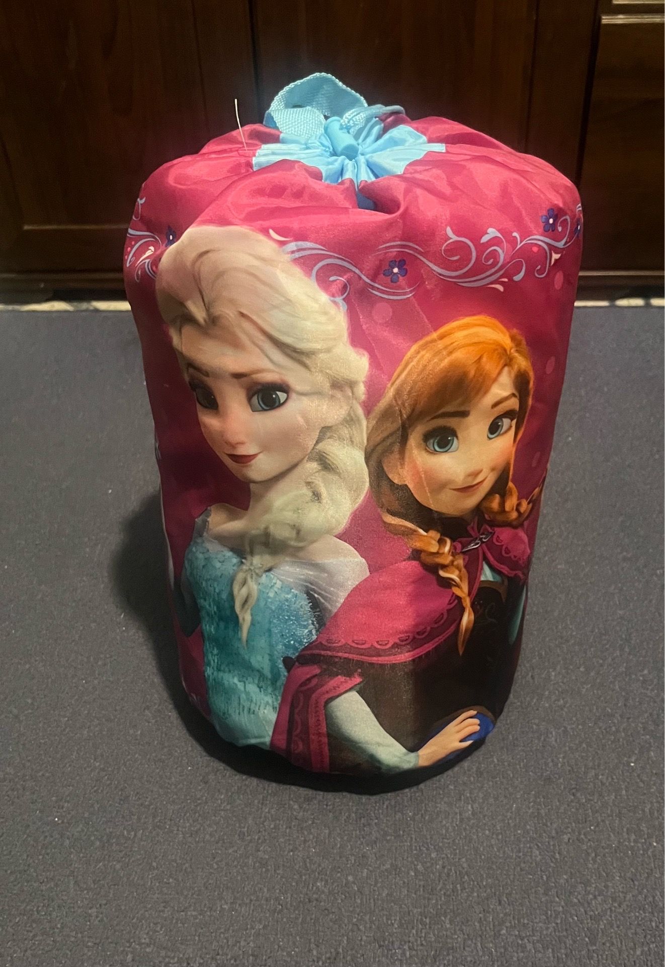 Sleeping Bag (Frozen)