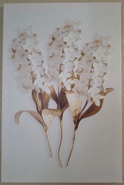 3 Canvas
