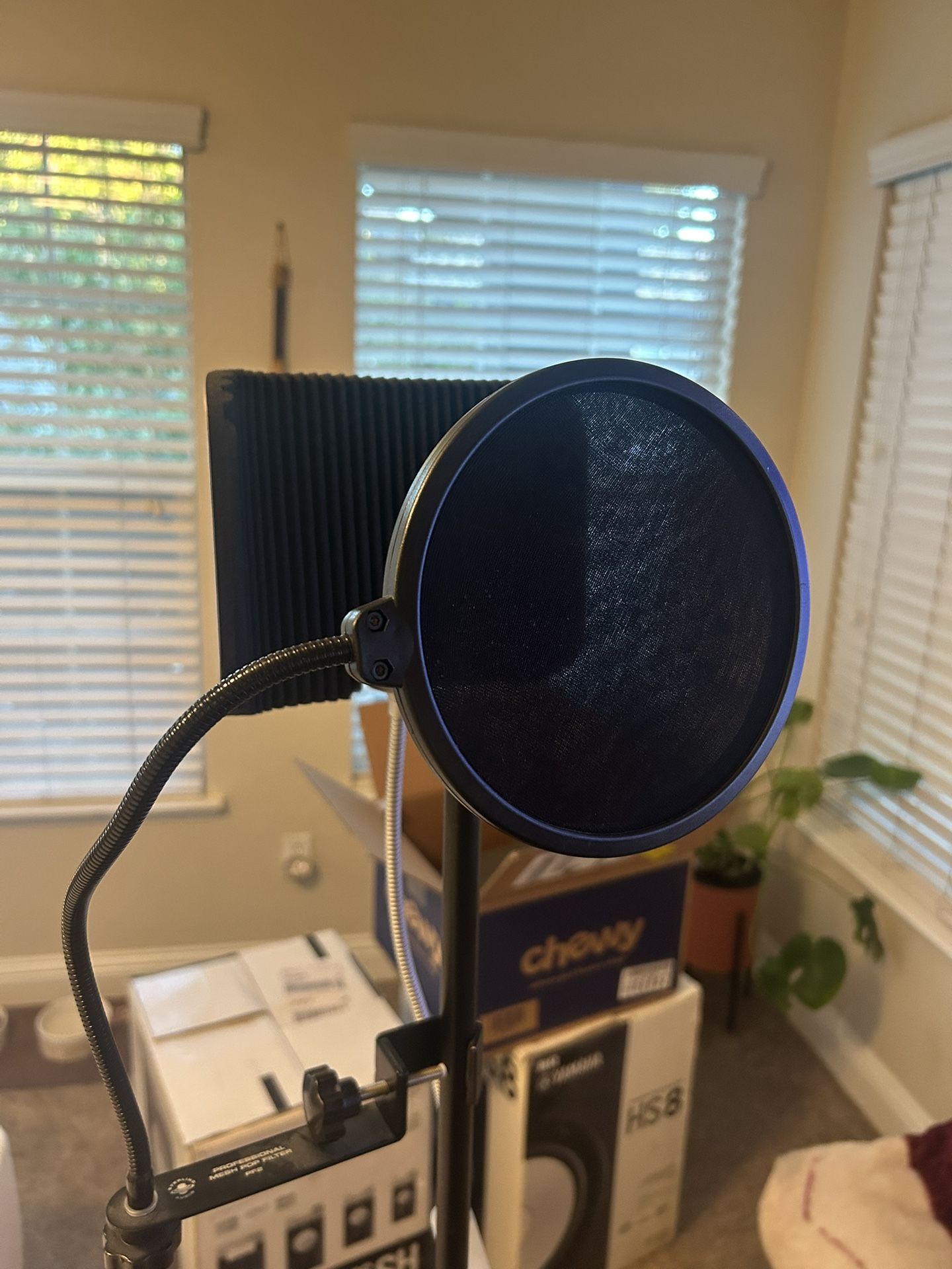 Mic Stand / Pop Filter (setup)