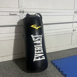 Everlast Heavy Bag