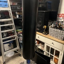 Standing Punching Bag