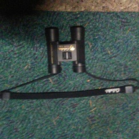 Cabelas (10 x 28) 4.90° Alaskan guide binoculars