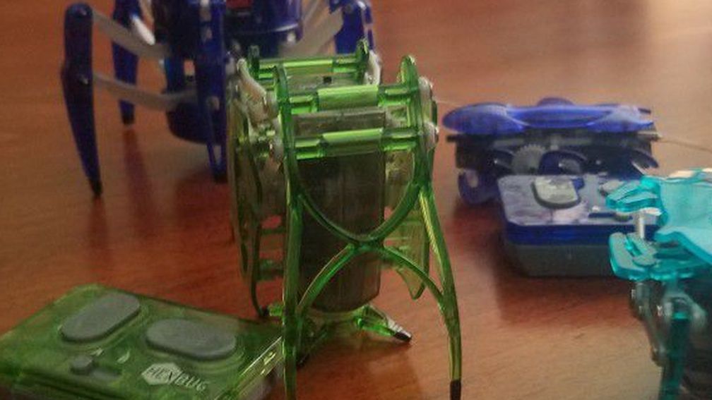 Hexbugs