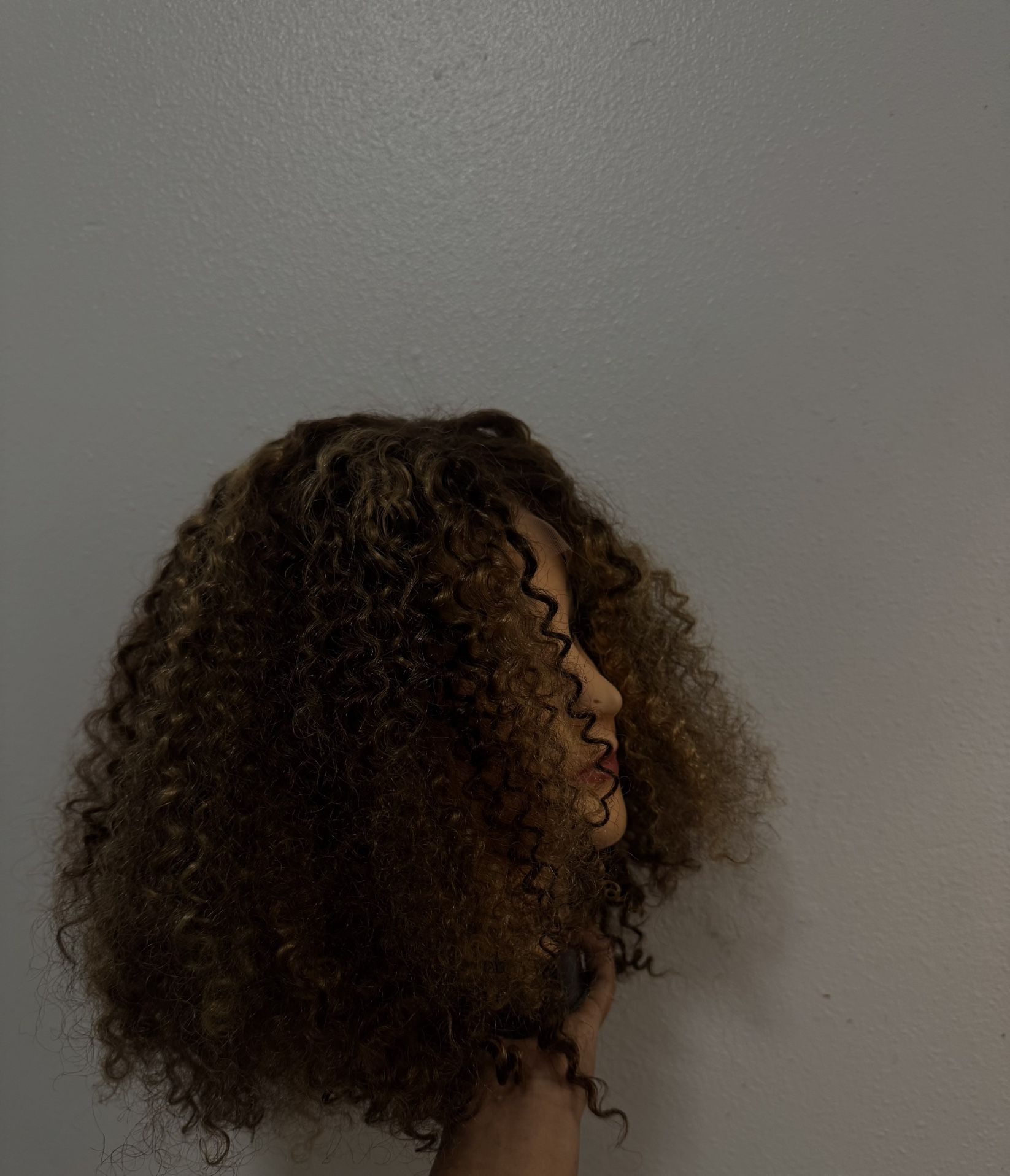 Curly 4x4 Closure Wig – 12 Inch 100% Human Hair