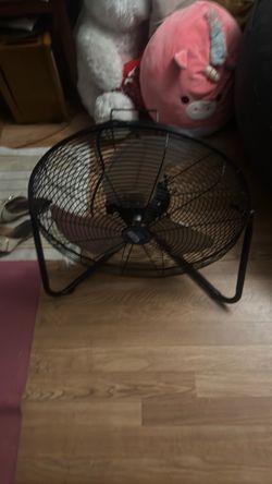 Black medium fan