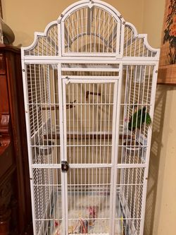 Parrot / Cage