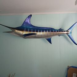 104" Fiberglass Blue Marlin Wall Mount – Full Round, Great Condition – Springfield MO Pickup Only