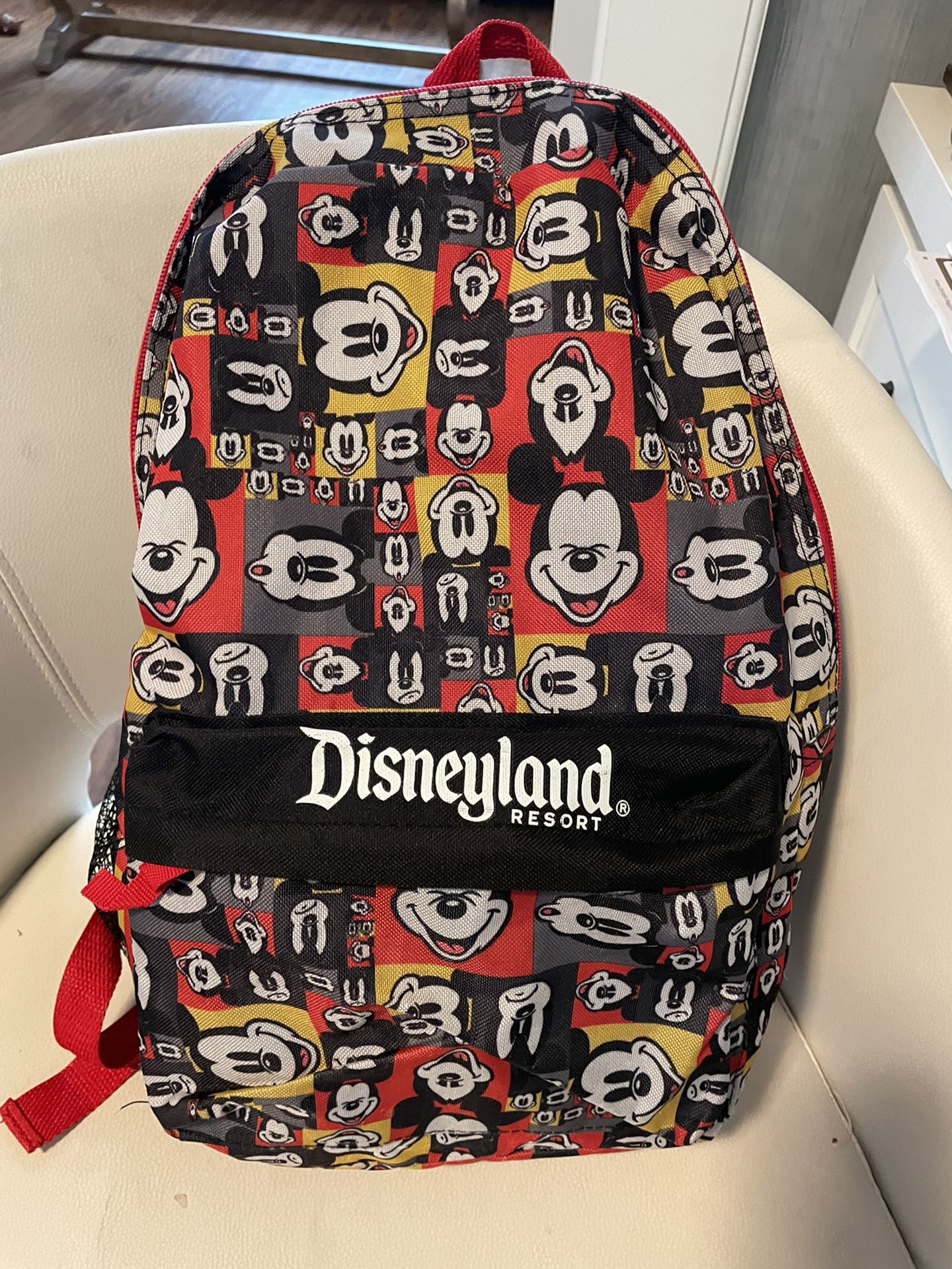 Disneyland Backpack 