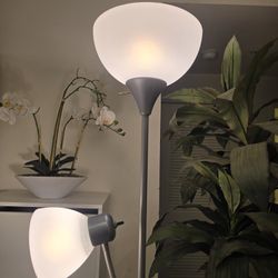 Floor Lamp / Torchiere / Silver Grey Color 