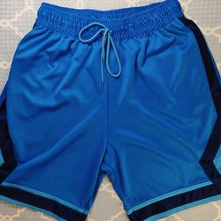 Jordan Men’s Blue Mesh Basketball Shorts L