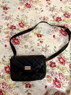 Purse Fanny Pack