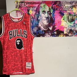 Bulls Bape Jersey