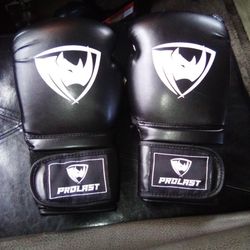  Boxing Gloves (Prolast14-oz)