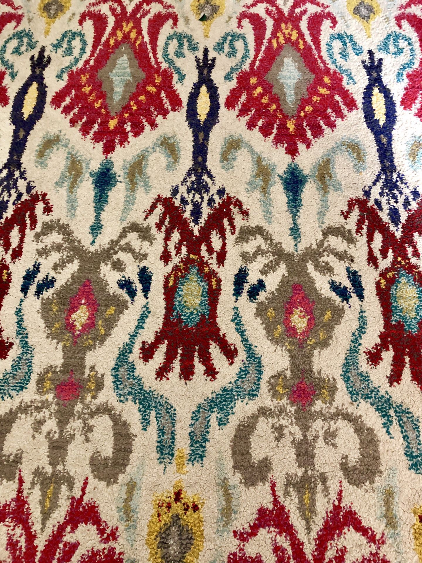 MOVING SALE! 4x6 Rug from rugsUSA
