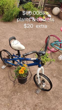 Decorative Bikes