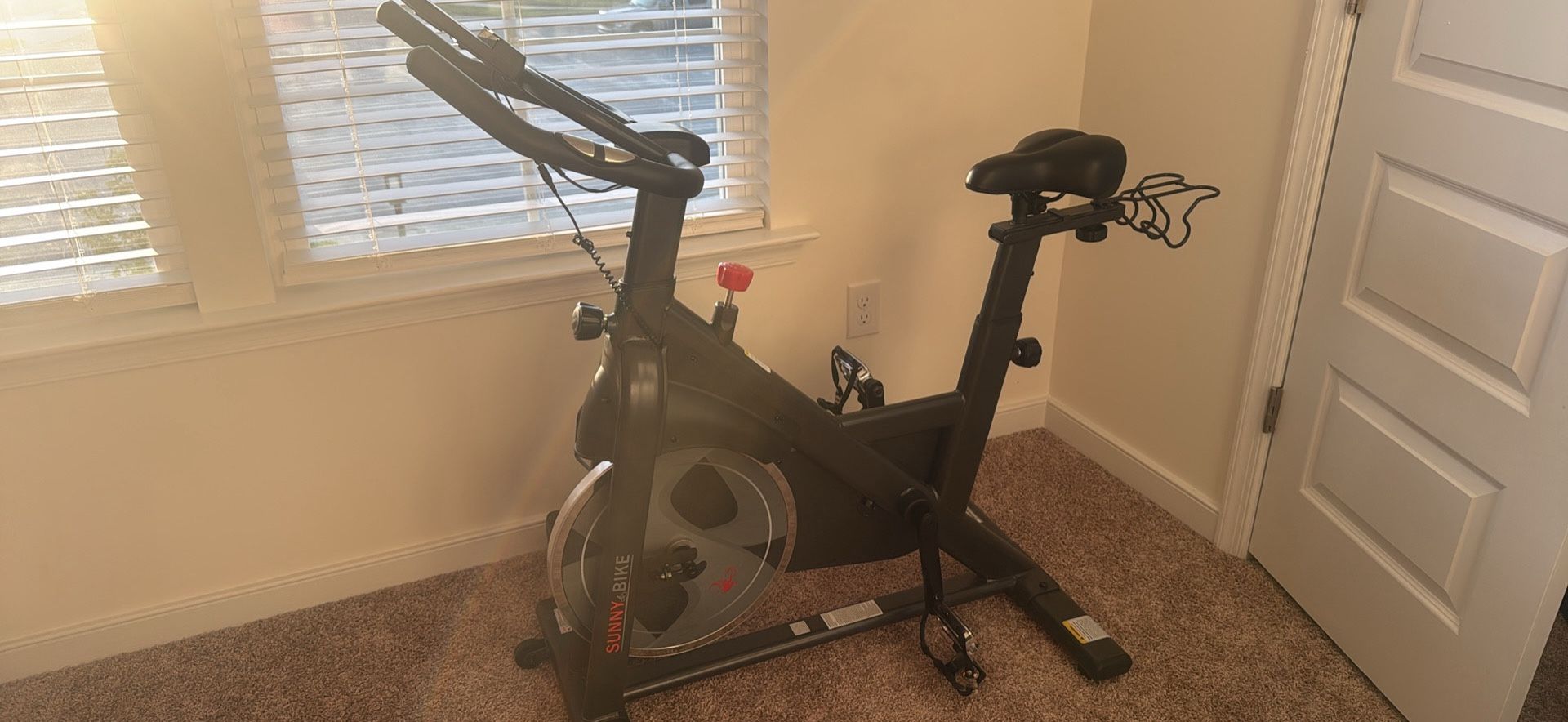Sunny Exercise Bike