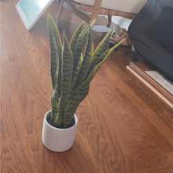 Fake Pot Plant