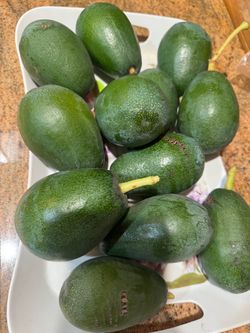 Organic avocado 🥑, read description