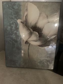 Decor Frame brand new