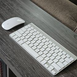 Apple Magic Mouse and Apple Keyboard.  Wireless Bluetooth 
