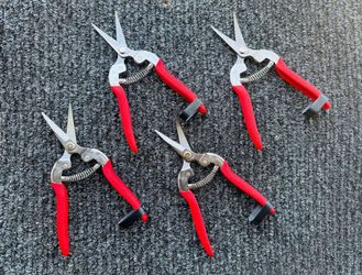 Stainless Steel Curved Grape Shears / Tijera para la Cosecha de UVA ($10 each/ $10 cada una)