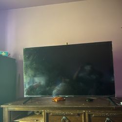 50 Inch Roku Tv