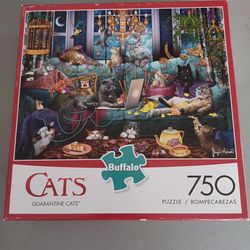Buffalo Quarantine Cats 750 Piece Puzzle
Cute Buffalo Games puzzle! Has 750 pieces. It's the 'Quarantine Cats' one, super fun scene. Has 750 pieces. I