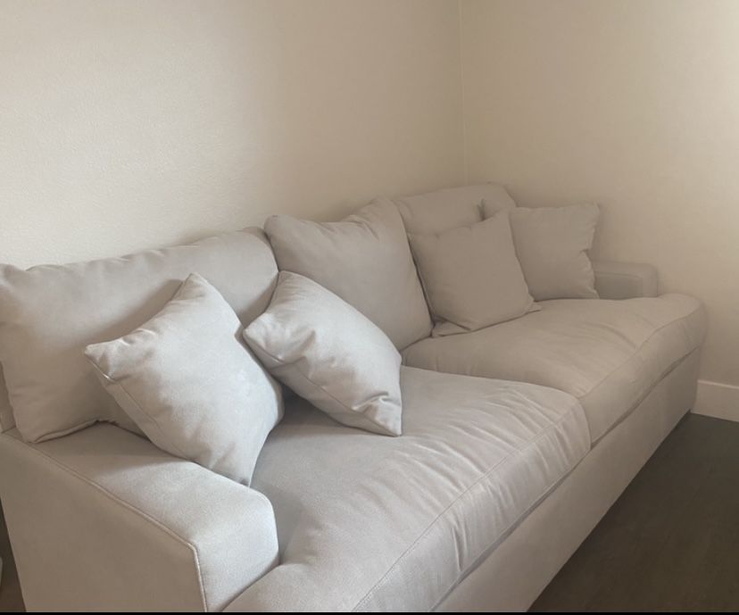 Couch and loveseat/couch