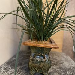 Artificial Plants