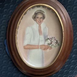 Princess Diana: Queen Of Our Hearts "Our Royal Princess" Plate VanHyg...