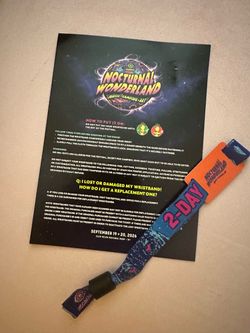 Nocturnal wonderland